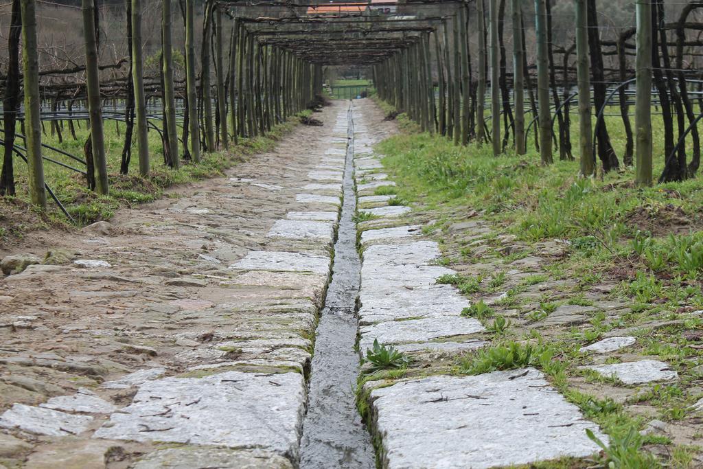 Quinta Da Eira Do Sol Villa Guimarães Екстериор снимка