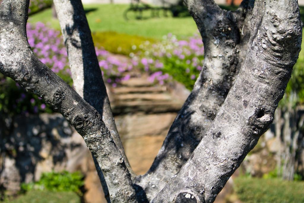 Quinta Da Eira Do Sol Villa Guimarães Екстериор снимка